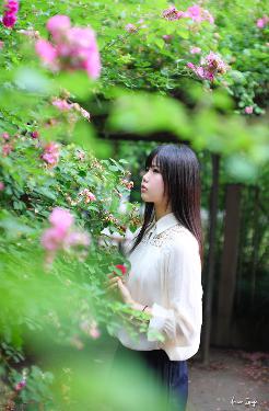 神墓年番在线观看完整版免费